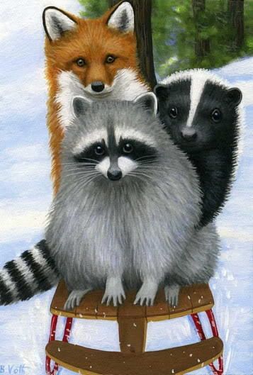 raccoon-art-fox