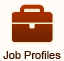 Click here to access online job profile.